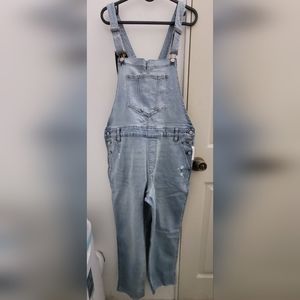 Old Navy Women's Size 12P Light Blue Straight Leg Overalls!